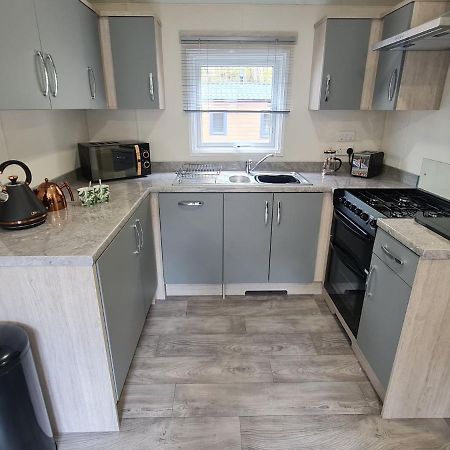 The Ceredigion - Plot 26, Woodlands Lodge Retreat, New Quay, West Wales Llanina Exterior photo